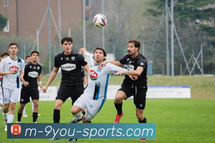 JIUYOU平台生态图